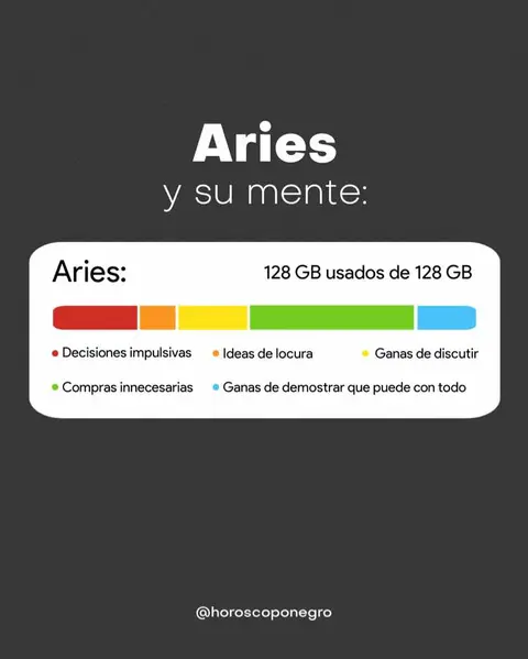 The cover image is a graphic with a dark background. The top features text in white, "Aries" and "y su mente:" There's a rounded rectangle in the center, containing elements. The primary element is a progress bar that suggests used and available memory, color-coded into segments. There is also text detailing various characteristics.