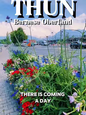 The cover image showcases a picturesque scene of Thun, Switzerland, with a foreground of vibrant flowers in red, blue, and green hues set against a backdrop of a street, buildings, mountains, and a partly cloudy sky. Text overlays in the image read "THUN", "Bernese Oberland", and "THERE IS COMING A DAY". The overall composition is a blend of natural beauty and urban elements.
