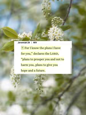 The image shows a close-up of white flowers and green leaves, slightly blurred in the background. A white box with black text overlayed on it details a bible verse.