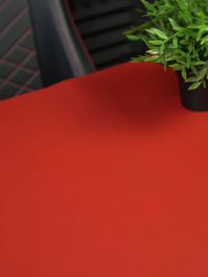 The cover image features a predominantly red surface, with a portion of a patterned black and gray chair visible in the top left corner. A small potted plant with green leaves sits on the top right. The layout suggests an unboxing setup or a product presentation against a simple backdrop.