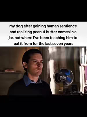 The image shows a scene from the movie Spider-Man, with Tobey Maguire as Peter Parker with a concerned look. Text overlaid above the image humorously describes a dog's realization about peanut butter.