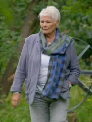 Dame Judi Dench walks in a garden setting, trees blurred in the background. She wears a grey jacket, white shirt, patterned scarf, and grey pants. A metal gate is partially visible to the right.