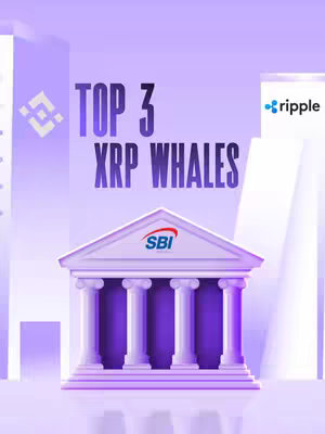An image depicting an infographic about the top 3 XRP whales. It has a light purple background with the text in the center. There's an SBI building-like structure at the bottom and the logos of Binance and Ripple on either side.