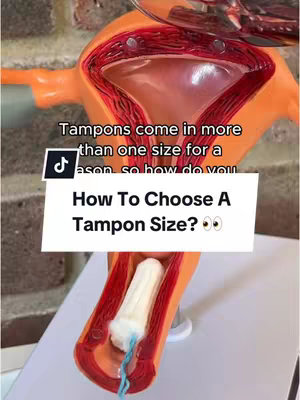 The cover image shows a cross-section of a reproductive system model. A white tampon is inserted in a model of the female reproductive system, with a blue string. Above the model is text.
