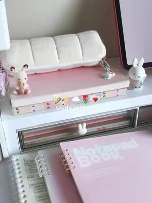 The cover image showcases a well-organized workspace, with a pink and white aesthetic. A small white desk holds a pink notebook, a pen, and a few decorative items, including a white bunny figurine and a plush pencil case. The background is a blur of other desk items, maintaining a clean, minimalist style, with the text overlayed on the image.