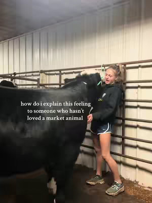 A young woman stands in a livestock pen next to a large black cow. She is wearing shorts and a hoodie and appears to be speaking or reacting emotionally. Text overlayed on the image reads, "how do i explain this feeling to someone who hasn't loved a market animal."