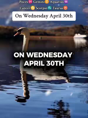 A serene image featuring a swan in a lake. Above, text indicates zodiac signs and the date 'On Wednesday April 30th', overlaid on the image, has an added text 'ON WEDNESDAY APRIL 30TH' in large, bold white font.