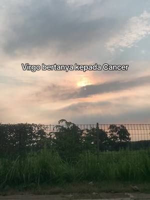 A landscape image of a sunset sky with dark clouds. In the foreground, there is green grass, plants, and a fence. Text overlay at the top.
