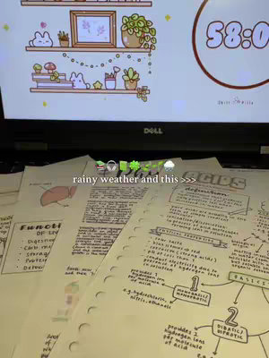 A desk with open notebooks filled with handwritten notes, focusing on scientific diagrams and definitions. A laptop showing a digital countdown timer sits above the notebooks. Elements of a desk decorated with plants, and a shelf of decorations are visible. The image has a warm ambiance with soft lighting.