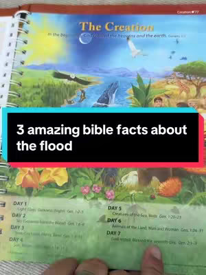 The image is a detailed illustration of a religious educational book, possibly a Bible or a similarly themed text. The background shows a colorful landscape scene during the creation, with land, water, and sky represented in vibrant colors. A black rectangular bar overlaid with the video title reads '3 amazing bible facts about the flood.' Below this, sections of the opened book show text labels detailing days of creation and scripture references.