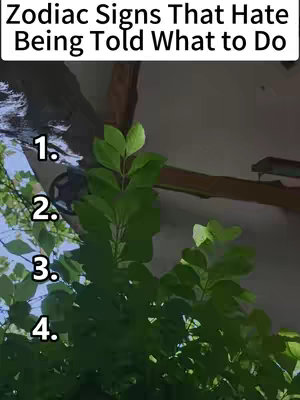 The cover image features a vertical shot of lush green foliage in the center, which appears to be a plant or a series of plants. The background shows a partially visible roof structure with wooden beams and some shadow, suggesting an outdoor setting. Overlayed at the top is text in white capital letters against a dark background, indicating the title of the video. Below the title, there are numbered annotations (1, 2, 3, and 4), likely to denote ranked items or a list.