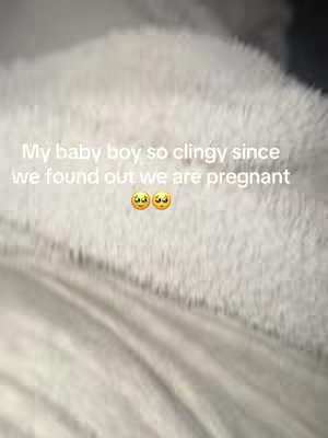 The image has a blurred background of a white, fluffy blanket or surface. Overlayed in the center is text. The text says, "My baby boy so clingy since we found out we are pregnant". There are two small emojis below the text.
