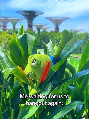 The image features a green plushie frog, possibly Pepe, nestled among large green leaves. The setting is a natural environment with tall, distinctive structures in the backdrop. Text in white on a black bar at the bottom of the image reads, 'Me waiting for us to hangout again:'