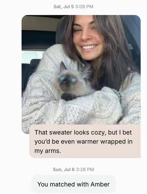 The image is a screenshot of a mobile phone messaging app. A woman with long brown hair is holding a fluffy cat, both are centered in the scene. Text bubbles are overlaid, containing messages. The woman is smiling, and the cat has blue eyes.