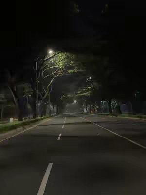 An eye-level shot of an empty road at night, lit by streetlights. The road stretches into the distance, with trees lining both sides. The sky is dark with a hint of fog in the distance.
