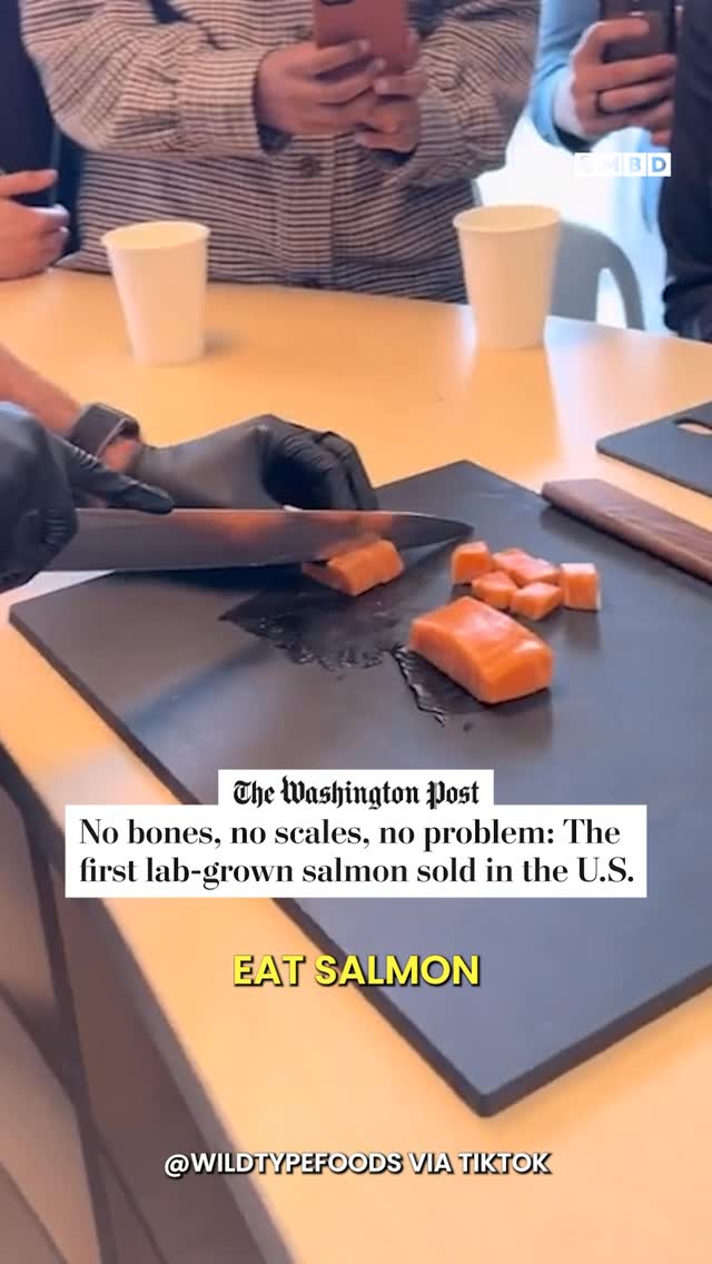 The image shows a close-up perspective of a person in black gloves slicing lab-grown salmon on a cutting board. The salmon is cut into cubes and is orange in color. In the background, there are people taking pictures with their phones and white paper cups on a light-colored wooden table.