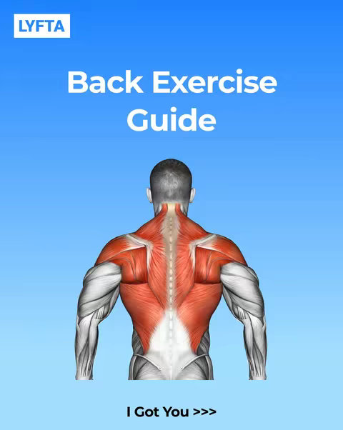A graphic with a blue gradient background. Centered is an illustration of a person's back muscles with a head and upper torso visible from the back. On the upper left is the Lyfta logo.