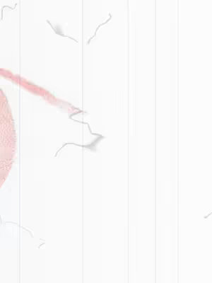 An abstract image with a white background and several vertical, blurred lines. A pinkish-red shape, possibly representing a face or an abstract form, is visible in the upper left portion. Some white, abstract, wavy shapes are scattered across the image.