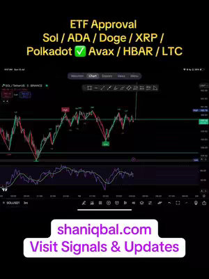 The cover image displays a dark background with a chart from a trading platform. The chart shows lines indicating market fluctuations. Text overlays at the top indicate 'ETF Approval' and lists various cryptocurrencies. Below the chart, the website of the creator is featured and highlighted with a purple bottom line.