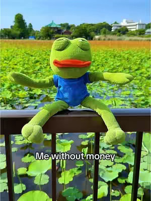 A stuffed frog with closed eyes and arms outstretched is presented on a wooden railing with a body of water and green plants in the background and a blue sky.
