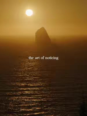 A serene landscape with an expansive view of the ocean under a golden sunset. The sun, a bright orb, dominates the top center, casting a warm glow on the water, which shows a gentle ripple pattern. In the middle ground, a large, dark rock formation juts out of the sea. The horizon line is softened by the light, creating a hazy atmosphere. The words 'the art of noticing' are centered near the bottom of the image in a clean, sans-serif font.