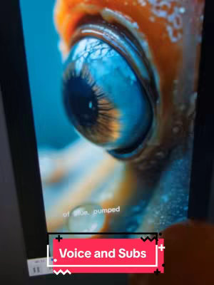 The cover image shows a close-up of a large, blue eye. The eye fills the frame, with intricate details of the iris and the surrounding skin visible. The eye appears wet and glistening, with highlights suggesting light reflection. The background is a blurred gradient of blues and oranges.