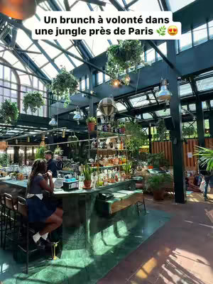 The image presents a vibrant indoor restaurant space designed to resemble a lush jungle with greenery and natural light. The perspective is from a low angle, looking towards a bar area where a customer is seated. Overhead, the ceiling is a mix of glass and metal structure. There are hanging plants, and various potted plants that contributes to the ambiance. Warm lighting fixtures add a touch of sophistication.