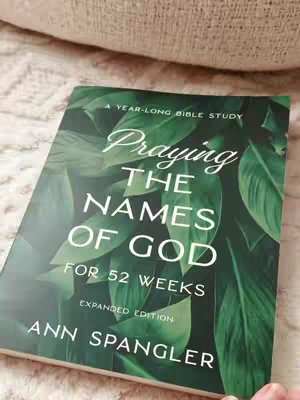 The cover image shows a book tilted towards the viewer on a light-colored fabric. The book 'Praying the Names of God' is a year-long Bible study, with green leafy imagery and white text. The author's name, Ann Spangler, is at the bottom. A soft, off-white cushion provides the background. The book is slightly angled, giving a slight perspective view.