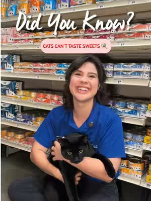 A woman smiling while holding a black cat in a pet store setting, with shelves of merchandise visible in the background. Text overlays read 'Did You Know?' and 'CATS CAN'T TASTE SWEETS 🍬'.