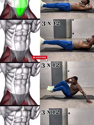 The cover image is a split frame showcasing a workout routine. The left side of the image presents an anatomical illustration showing the abdominal muscles, with the areas being targeted highlighted in green. On the right side, three frames are displayed, presenting the creator performing different ab exercises. Each frame is accompanied by the text '3 x 12', indicating sets and reps. The creator is shirtless in the exercise frames, wearing blue shorts.