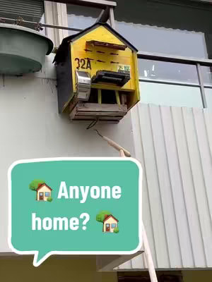 An exterior shot shows a yellow wooden geocache box mounted on a pale wall. A teal speech bubble with white text 'Anyone home?' floats below. Two small green house emojis are on either side of the text. The box is labeled 32A. In the background are exterior details, including a window and a metal gutter.