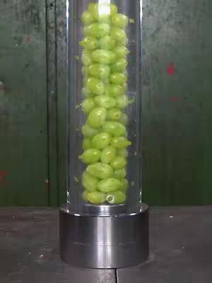 A vertical shot of a clear cylindrical container holding a collection of green grapes. The container sits on a metallic, cylindrical base resting on a solid dark surface. The backdrop features a dark green wall with visible vertical seams.