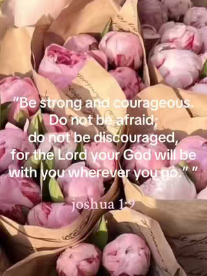 The image displays a close-up view of bouquets featuring pink peonies. The blooms are clustered together, some still in their paper wrapping, filling the frame. A handwritten text overlay citing a Bible verse, set in a soft, diffused and warm tone.