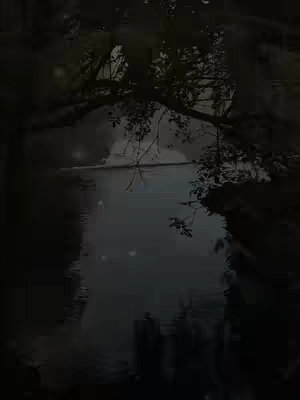 A dark, moody image of a body of water reflecting a tree branch and foliage. The water's surface is smooth, with muted tones suggesting a twilight or overcast setting.