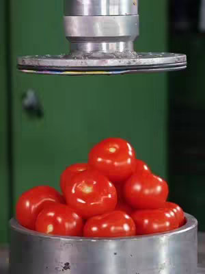 The image captures a close-up of a pile of ripe, red tomatoes contained within a cylindrical metal container. Above the tomatoes, a metallic object with a circular, flat base is positioned, seemingly about to press down on them.