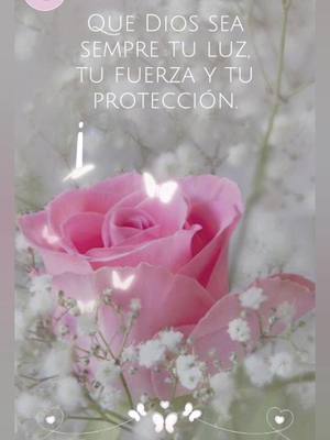 A vertical, floral-themed graphic. A large, pink rose is prominently featured at the bottom center, surrounded by smaller white flowers and hints of green foliage. The background is a soft, blurred texture, possibly a watercolor effect, in shades of gray and white. Text overlays in white are spread throughout the design, presenting an inspirational quote.