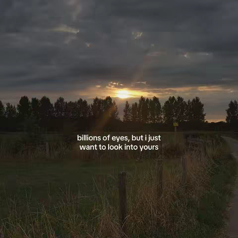 The image shows a sunset over a landscape. The sky is filled with dark, dramatic clouds, and the sun is visible as a bright orb breaking through the clouds. Below, there's a field of grass, trees, and a dirt path leading toward the right side of the image. Text is overlaid on the image: 'billions of eyes, but I just want to look into yours'.
