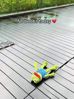 A top-down shot of a wet, wooden deck in daylight. A plush frog toy with a blue shirt and red headband is lying on its back. Text overlayed reads, 'No boobs today' with a heart emoji.