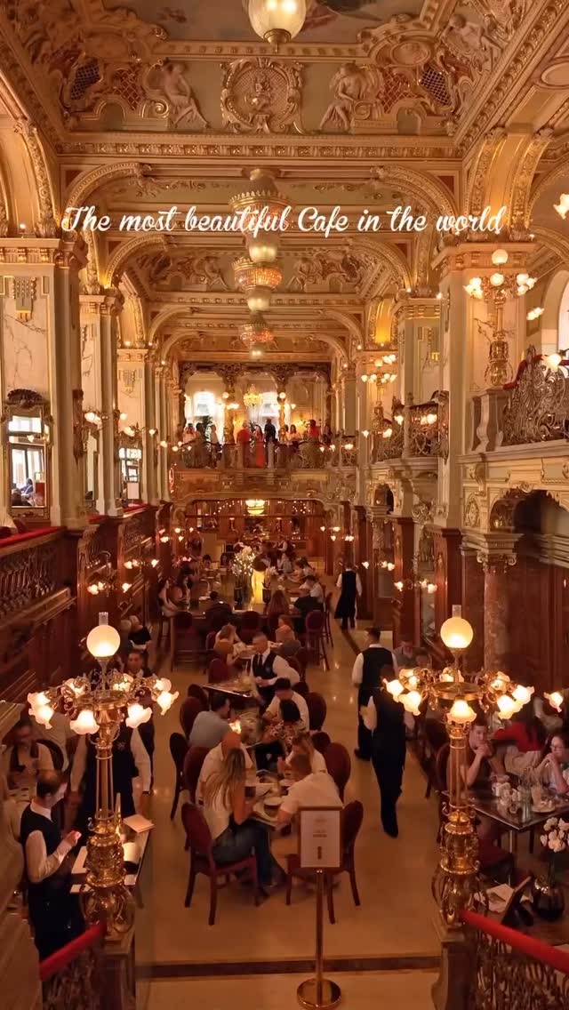 An elevated, wide-angle shot captures a richly ornamented interior, likely of a grand cafe. The composition is symmetrical, with high ceilings adorned with elaborate carvings and gilded accents. Rows of tables and chairs are visible, with people seated, suggesting a bustling atmosphere. Large chandeliers and ornate lamps cast a warm glow throughout the space. The color palette includes gold, cream, and red, creating a sense of luxury and history. The image is well lit, and the focus is sharp, highlighting the architectural details and the cafe's overall opulence.