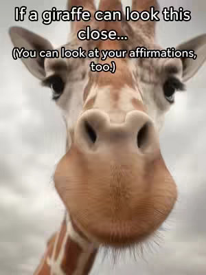 Close-up shot of a giraffe's face, centered and filling the frame. The giraffe's snout is prominent, with large nostrils and a textured, brownish surface. The eyes are visible on either side, and the background presents an overcast sky. Overlayed text provides the hook.
