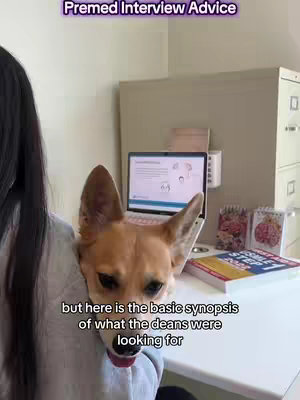 A selfie-style shot featuring a person with long dark hair, a dog, and a desk with a laptop. The person is partially visible on the left side of the frame, with the dog's face centered, peeking out from the person's shoulder or clothes, with its tongue out. Behind them is a desk setup with a laptop showing a screen, and some study materials. The image has a bright, natural lighting with warm tones.