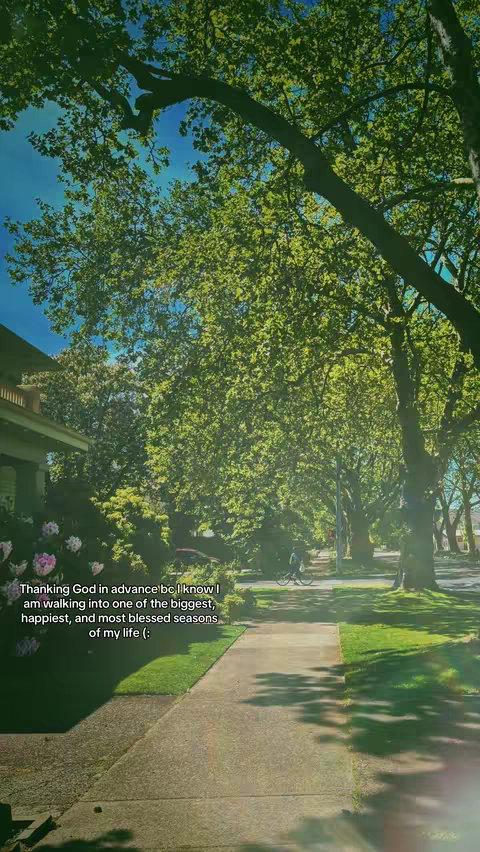 A sunny outdoor scene featuring a paved walkway leading towards a street lined with lush green trees. The sky is a vibrant blue, and light filters through the leaves, creating a dappled effect. Text overlaid on the bottom left.