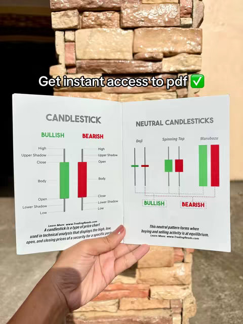 A person's hands holding open a book with trading chart diagrams, with a natural stone background.