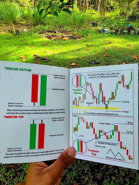 An opened book displaying trading chart patterns, featuring green and red candlestick diagrams, text descriptions, and green foliage in the background. The book is being held by a hand.
