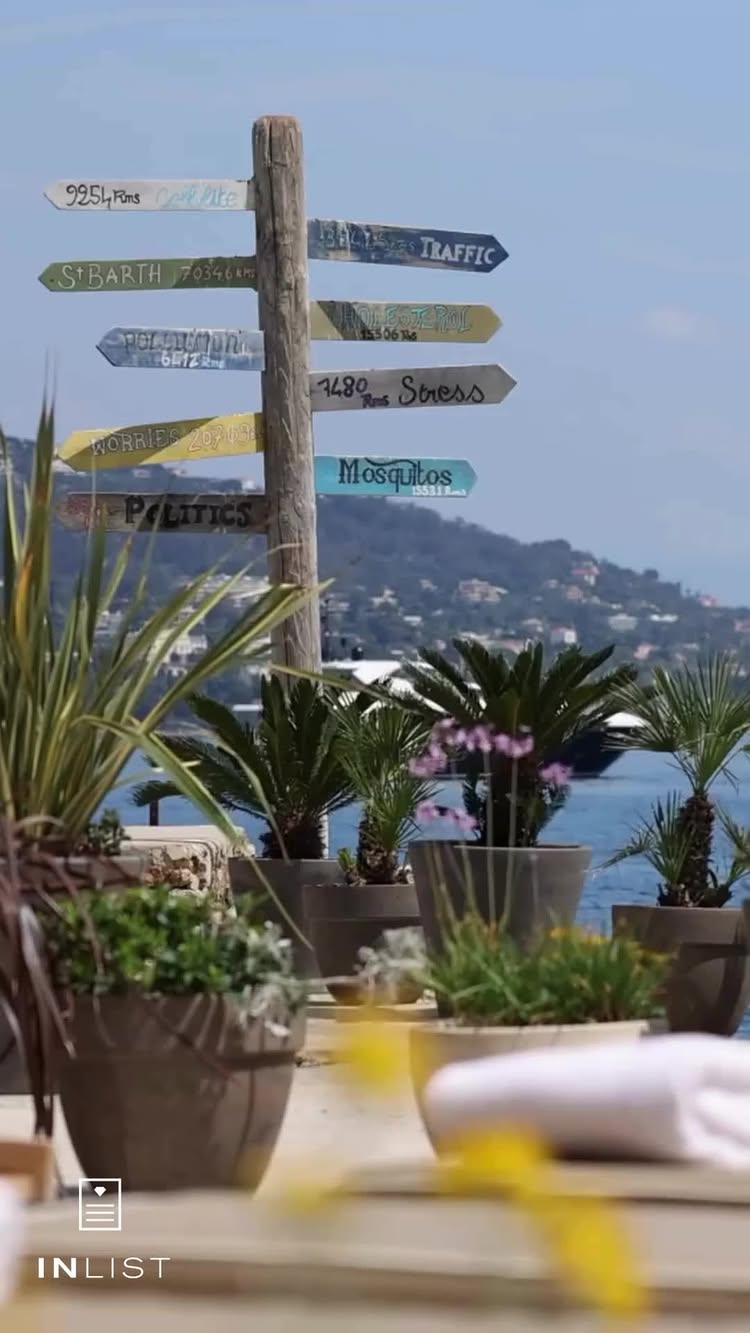 The image shows a vibrant outdoor scene at a restaurant near the water. A signpost with various destination signs points upwards and is surrounded by potted plants. The foreground features lush greenery in terracotta pots, with hints of a beach scene visible behind. The overall composition is bright and inviting, with a focus on natural elements and a sense of leisure.