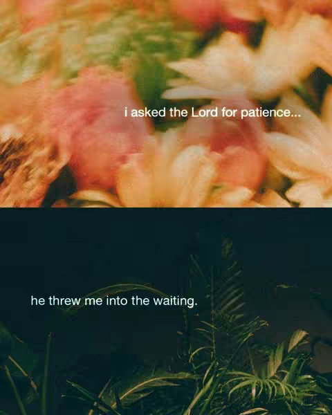 The cover image is divided into two sections, showcasing a contrast of natural elements alongside text. The top half displays a blurred background of colorful flowers, featuring shades of orange, pink, and green. The bottom half is a dark contrasting scene of foliage with what appears to be a fernlike plant, set against a darker backdrop. Overlaid in the center of each scene appear the lyrics.