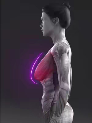 A side-view anatomical rendering of a female figure, highlighting chest muscles with a pink glow and a purple outline. The figure has fair skin and a dark background.