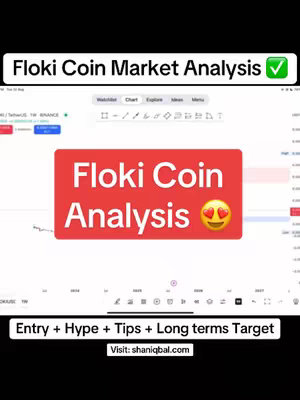 The cover image features a white background with a screenshot of a trading chart showing a cryptocurrency, likely Floki Coin. Prominent text overlays state 'Floki Coin Market Analysis' in a banner, 'Floki Coin Analysis' within a bright red rectangle, and 'Entry + Hype + Tips + Long terms Target' below, alongside the website address 'shaniqbal.com'. The overall composition conveys a focus on market analysis and price predictions. 