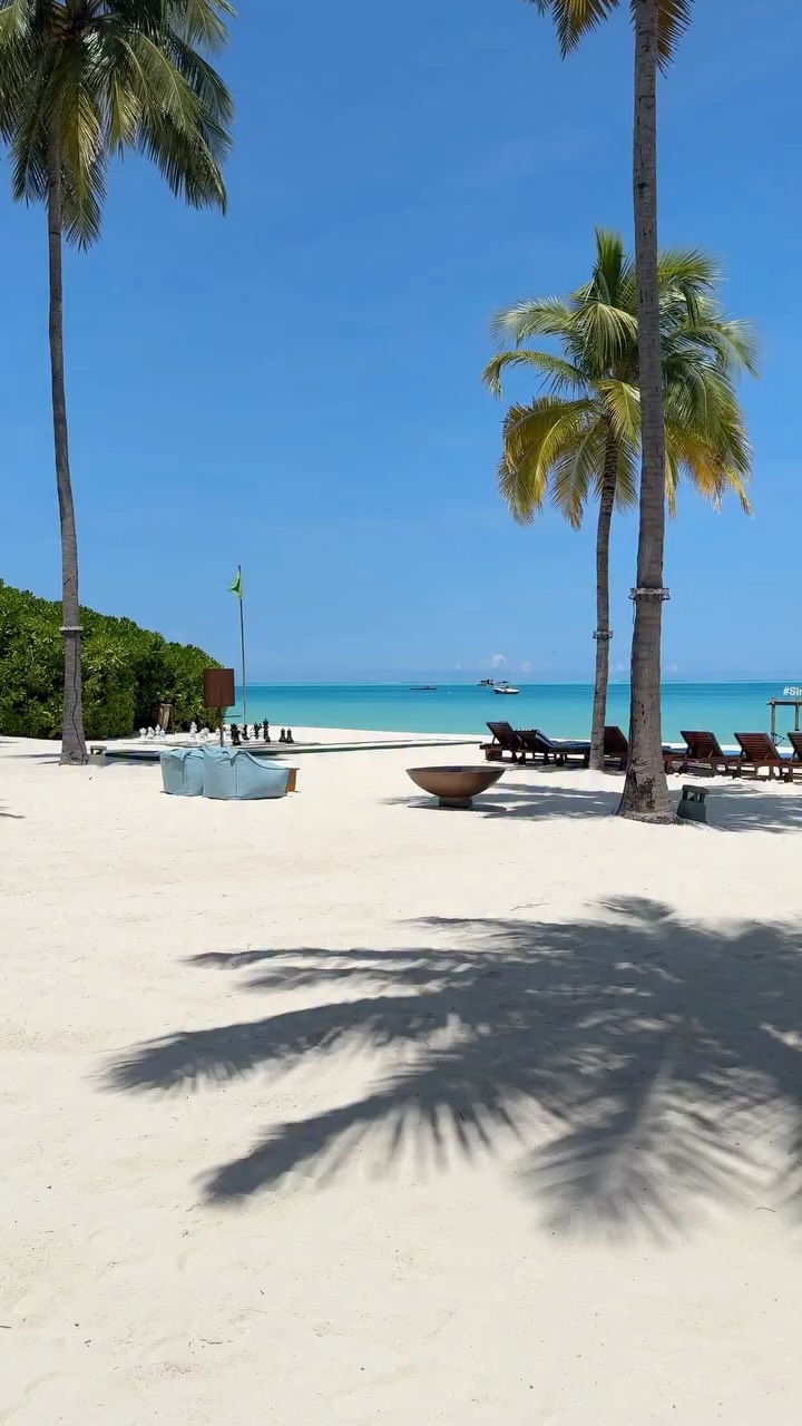 A wide shot of a tropical beach scene under a bright blue sky, featuring white sand, palm trees, and clear turquoise water. In the foreground, the shadows of the palm trees stretch across the sand. Beach chairs and a metal bowl are visible, some scattered. In the background, a small boat is on the water.