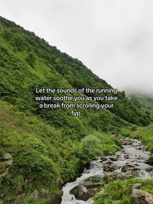 A scenic shot featuring a lush green hillside with dense vegetation and a flowing river in the foreground. Overcast skies create a soft light, and a text overlay gives context.